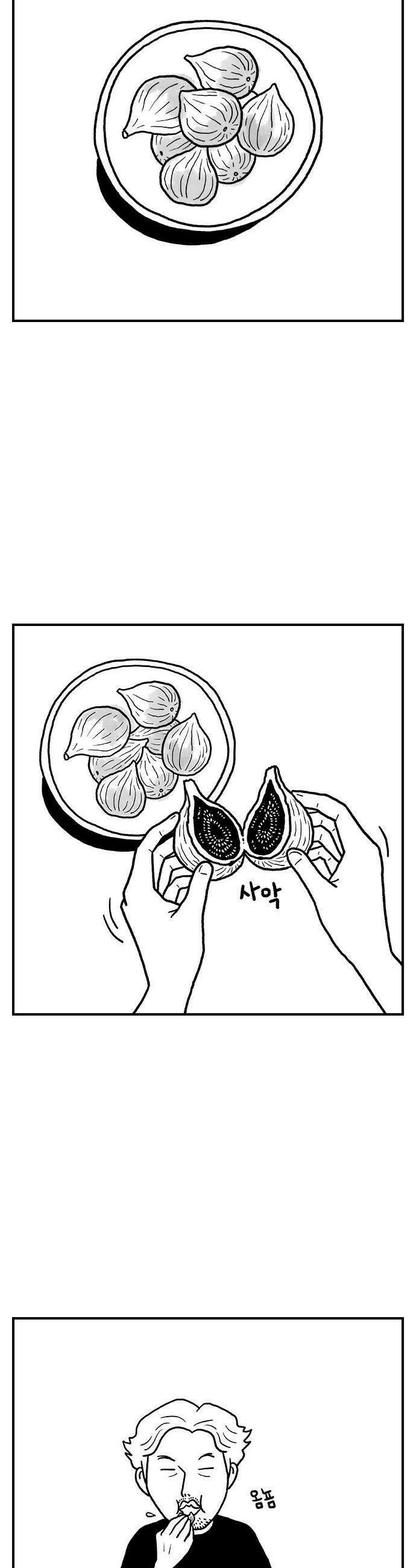 펫로스클럽 12 무화과 나무 6