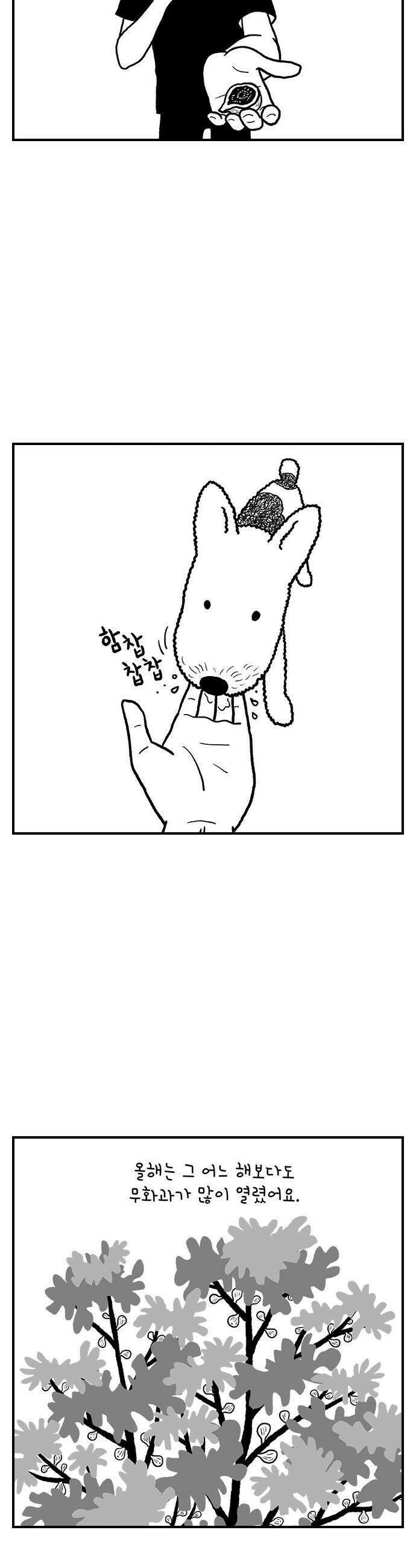 펫로스클럽 12 무화과 나무 7