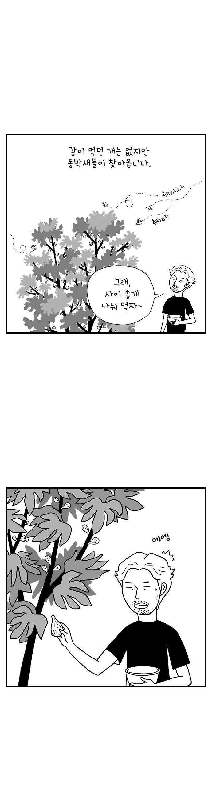 펫로스클럽 12 무화과 나무 8
