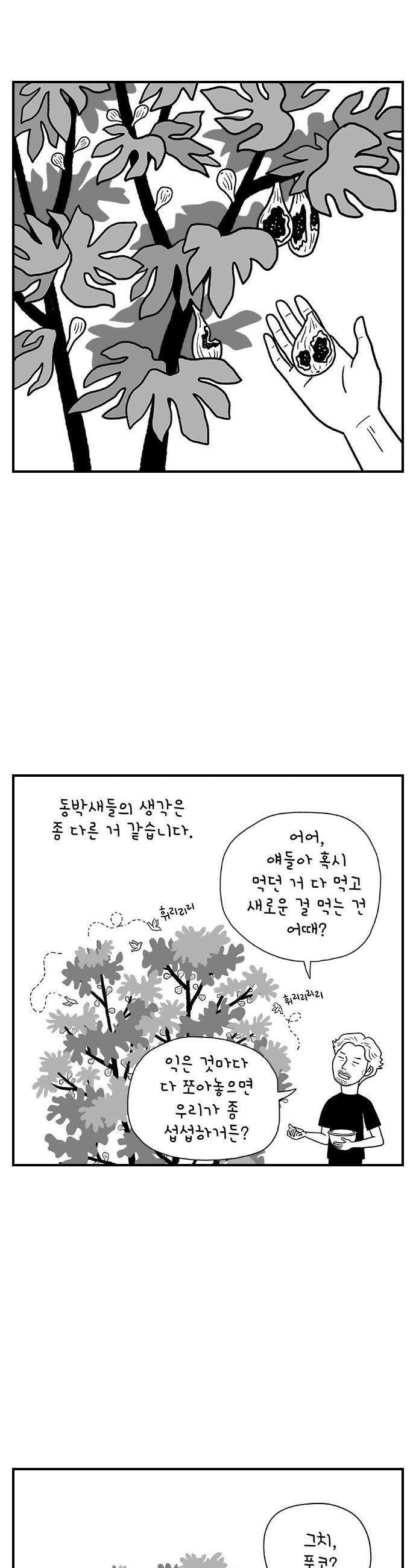 펫로스클럽 12 무화과 나무 9