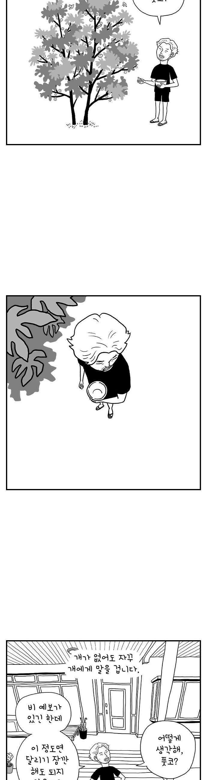 펫로스클럽 12 무화과 나무 10