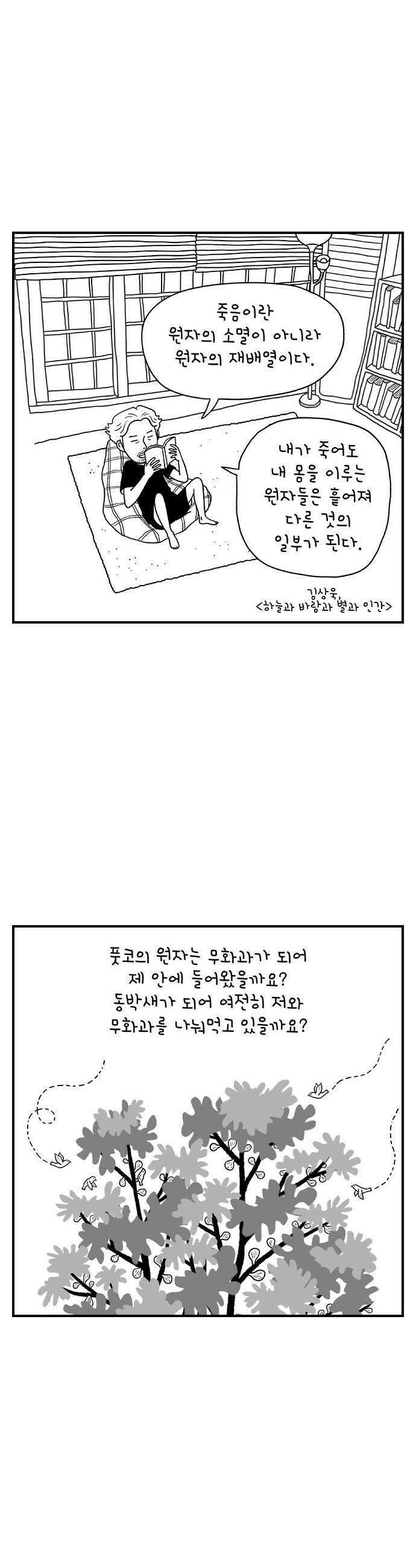 펫로스클럽 12 무화과 나무 12