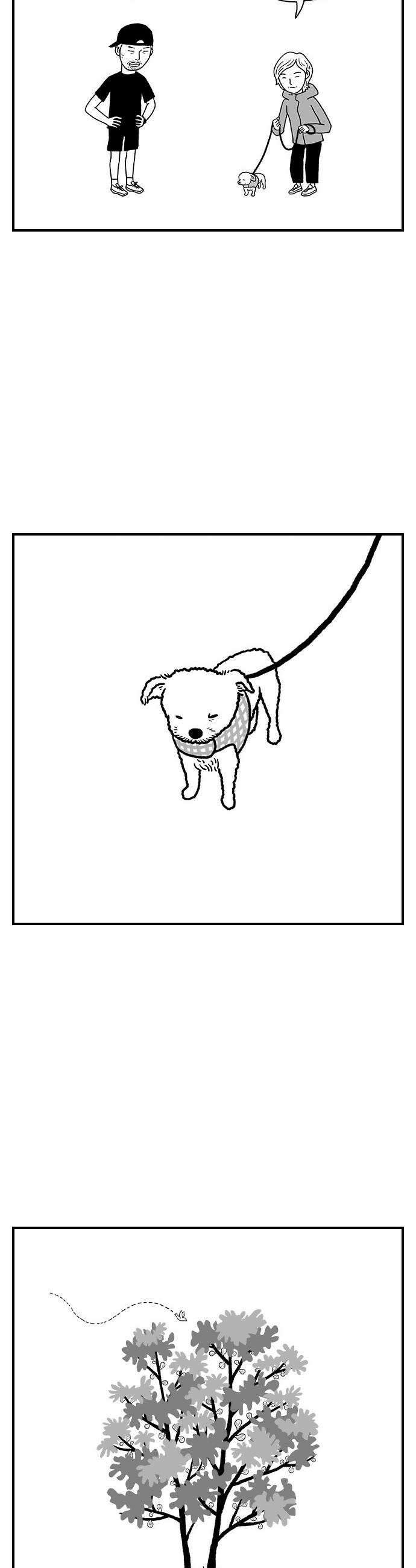 펫로스클럽 12 무화과 나무 18
