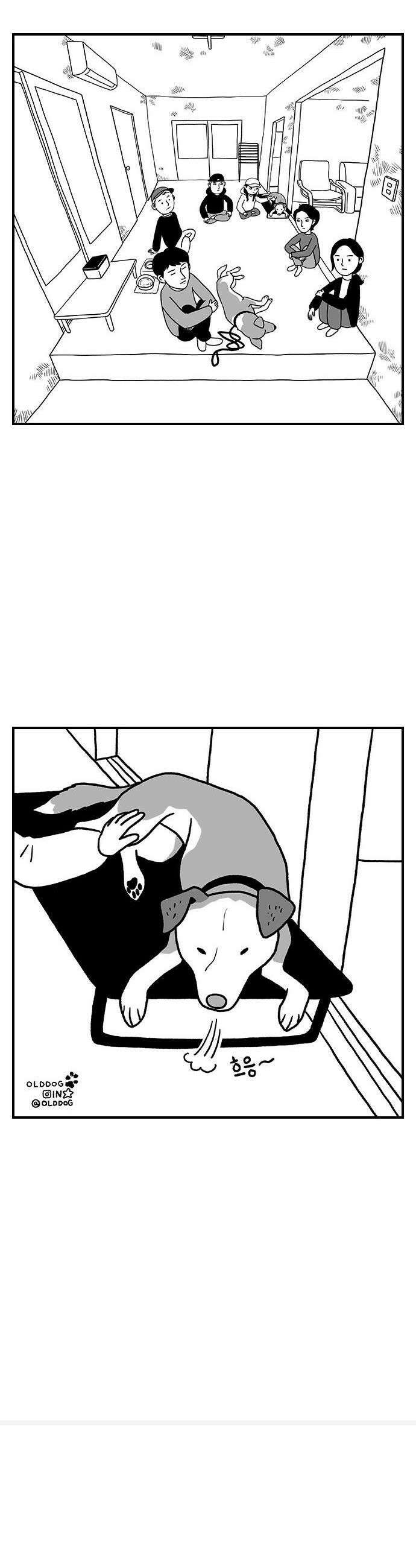 펫로스클럽 23 마을이 대책 위원회 20