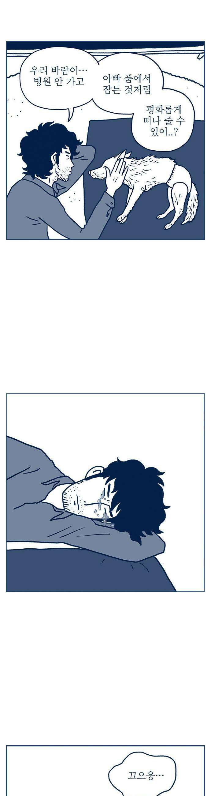 펫로스클럽 25 바람의 노래 9