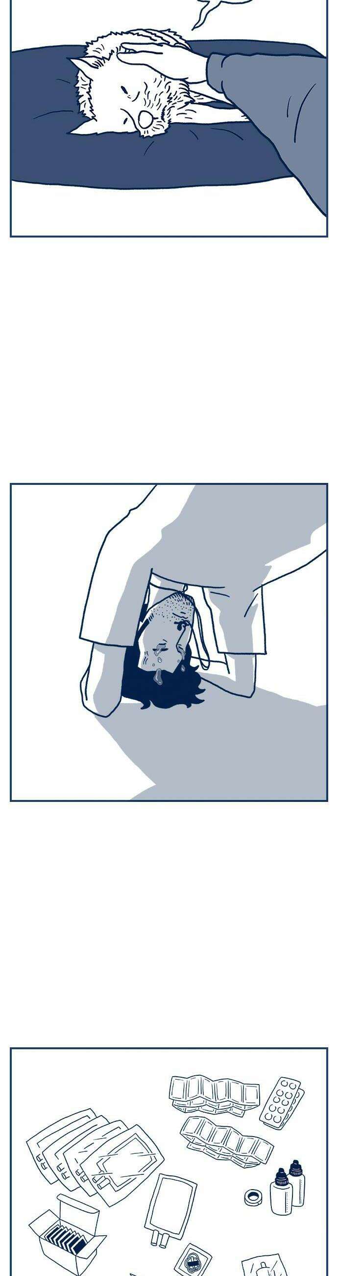 펫로스클럽 25 바람의 노래 10