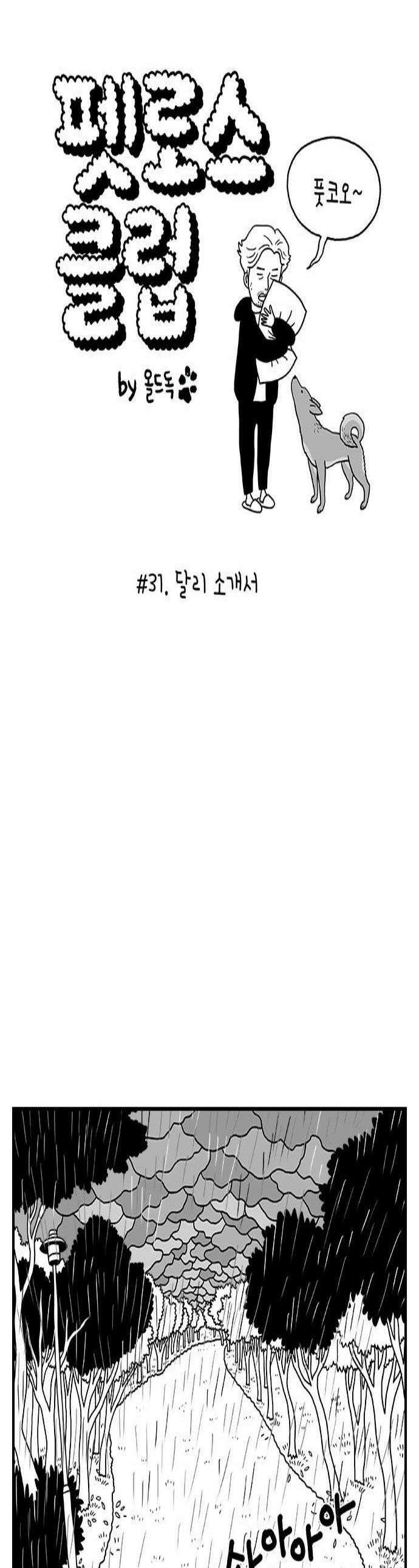 펫로스클럽 31 달리 소개서 1