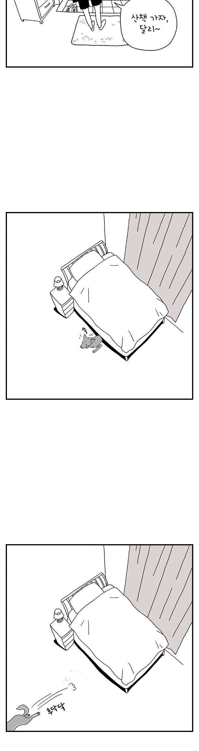펫로스클럽 31 달리 소개서 7