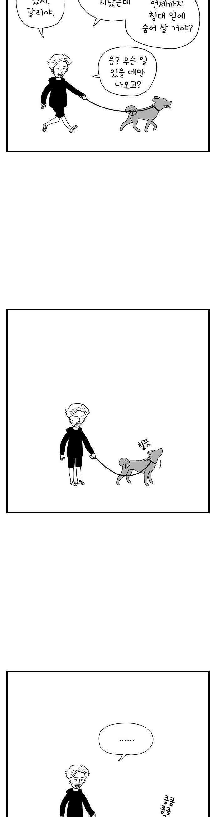 펫로스클럽 31 달리 소개서 10