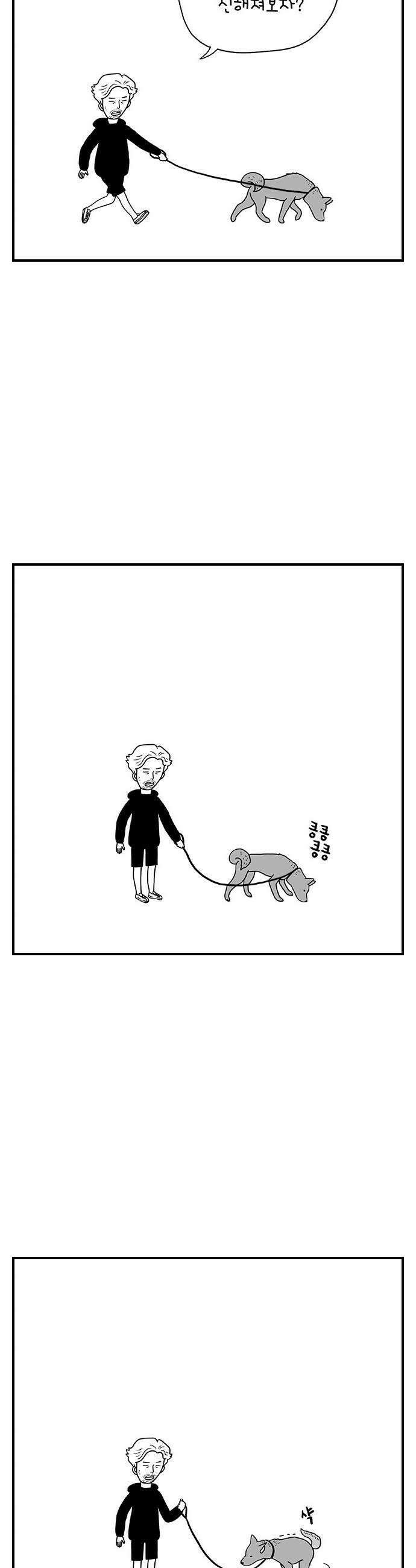 펫로스클럽 31 달리 소개서 14