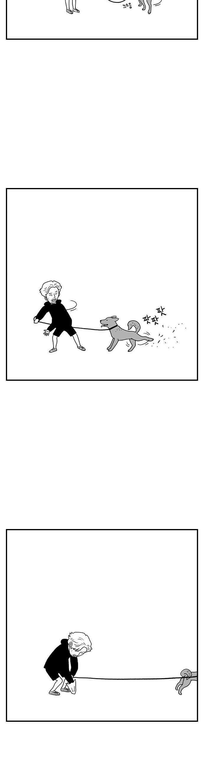 펫로스클럽 31 달리 소개서 15
