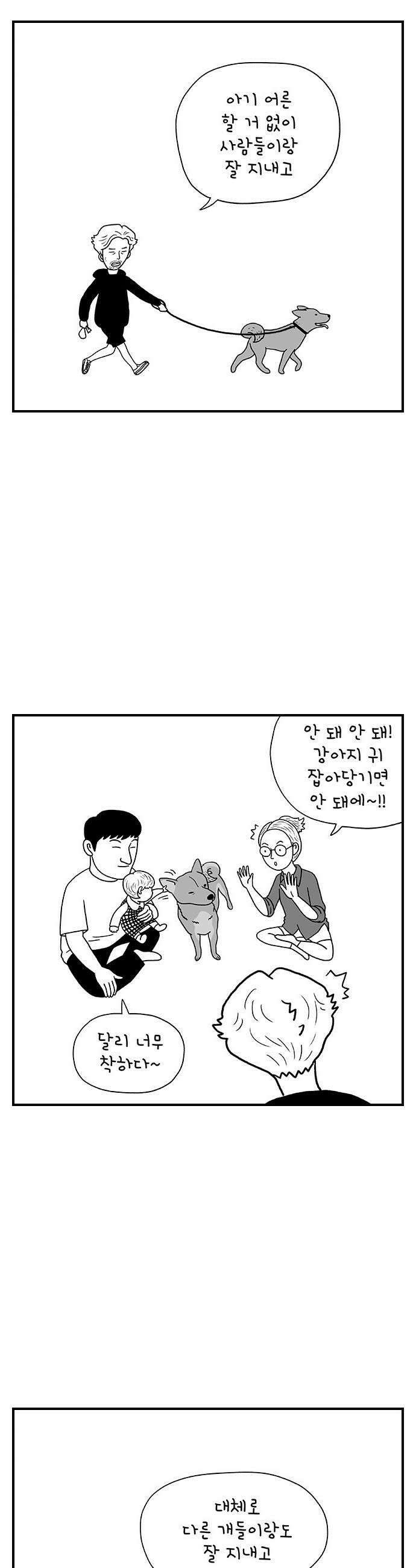 펫로스클럽 31 달리 소개서 17