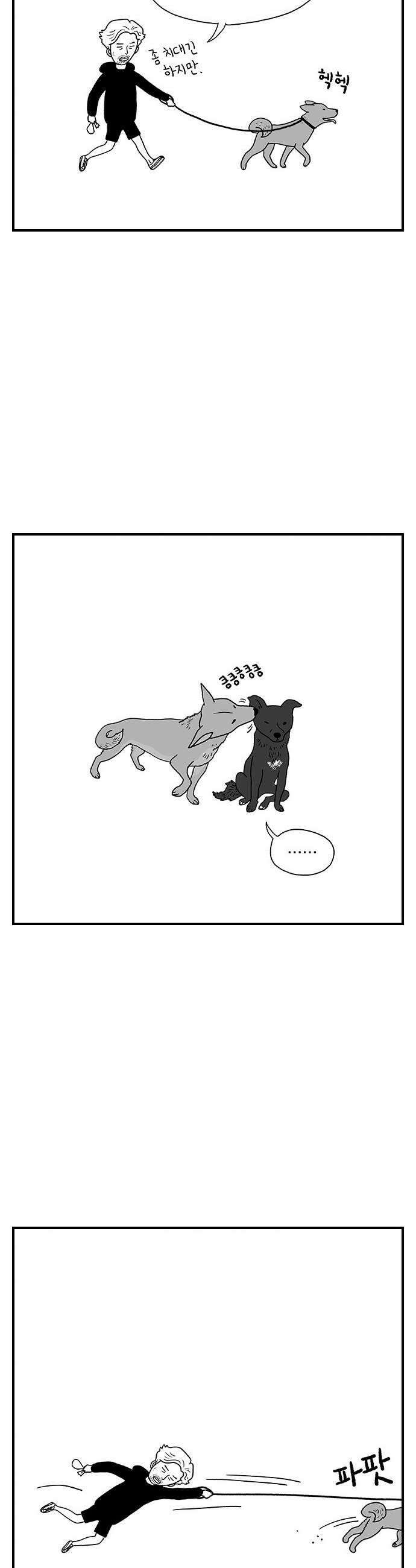 펫로스클럽 31 달리 소개서 18
