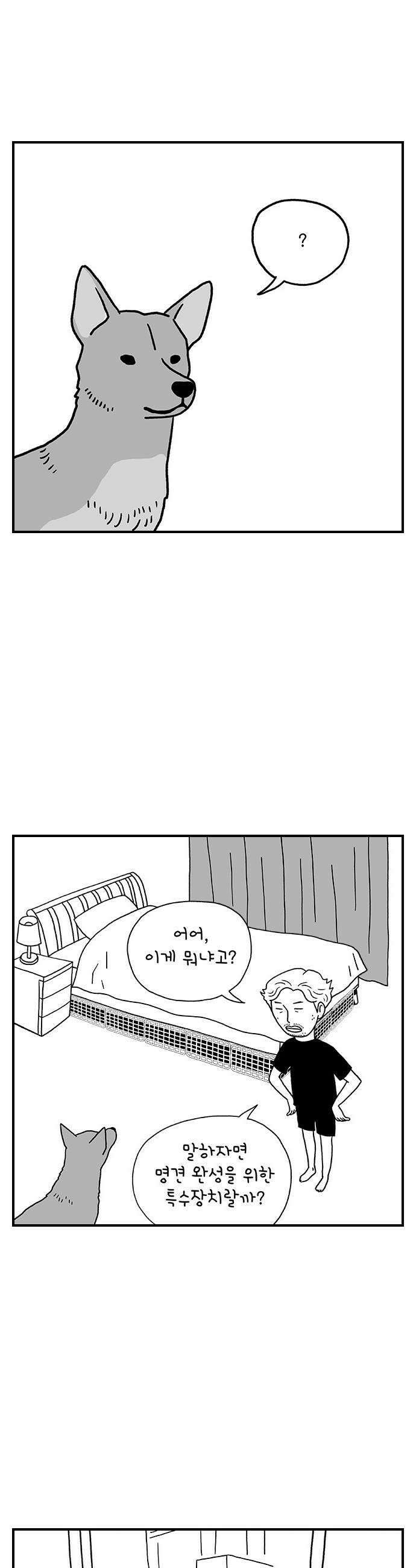 펫로스클럽 31 달리 소개서 24