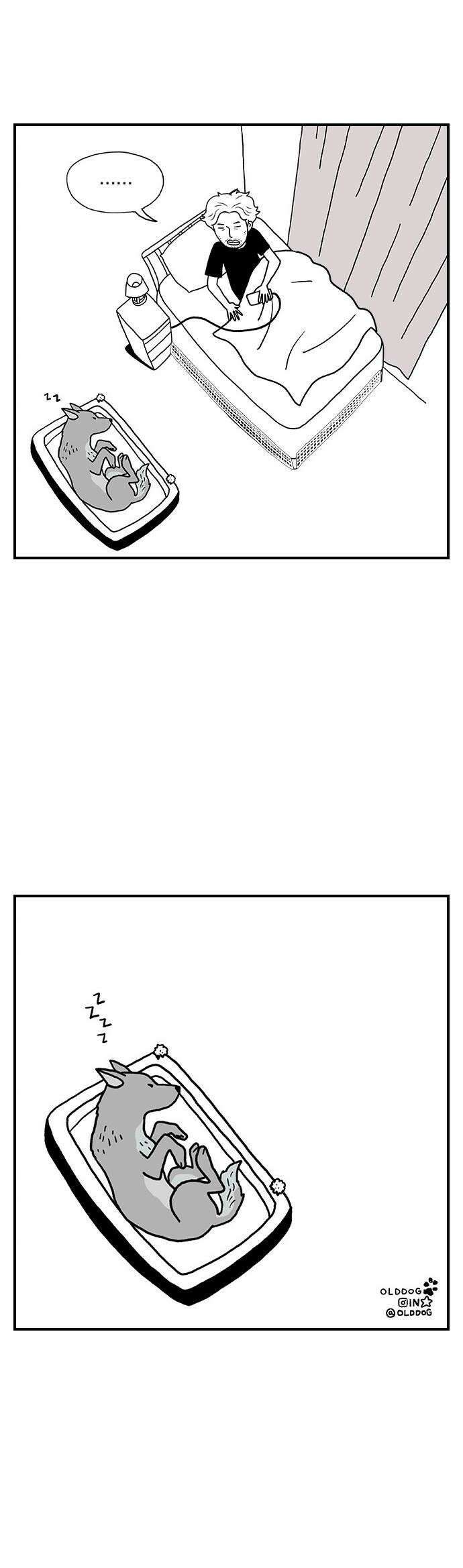 펫로스클럽 31 달리 소개서 28