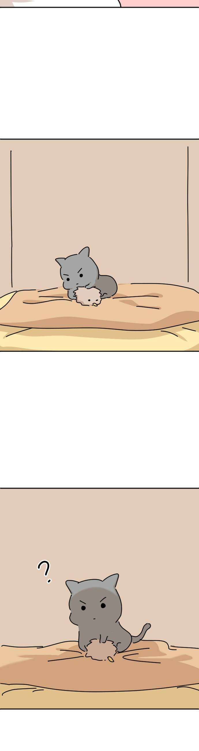 오리짱! 24화 내 방 사수 작전4 25