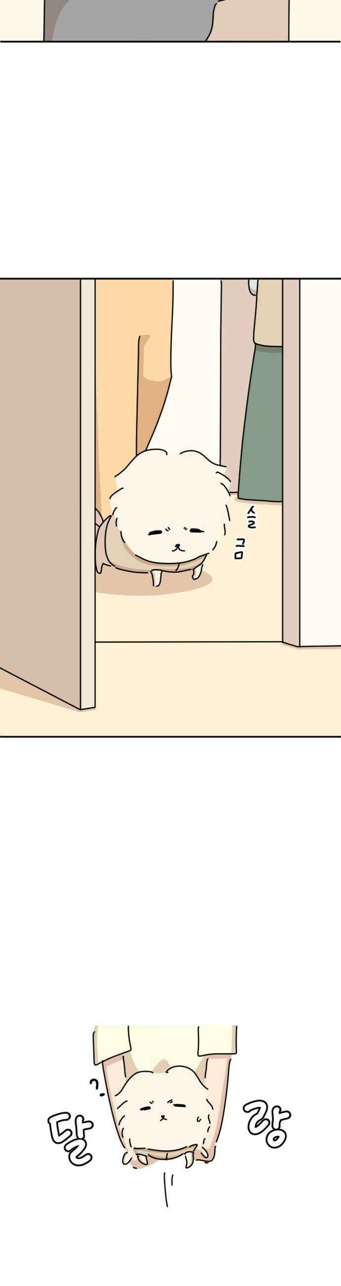 오리짱! 29화 할머니와 만식이1 30