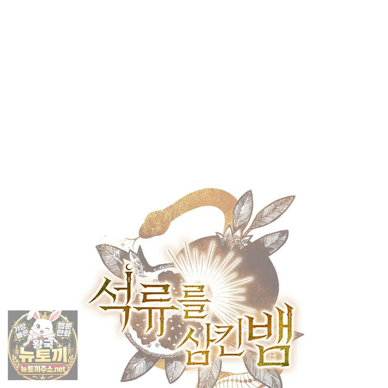 석류를 삼킨 뱀 46화 25