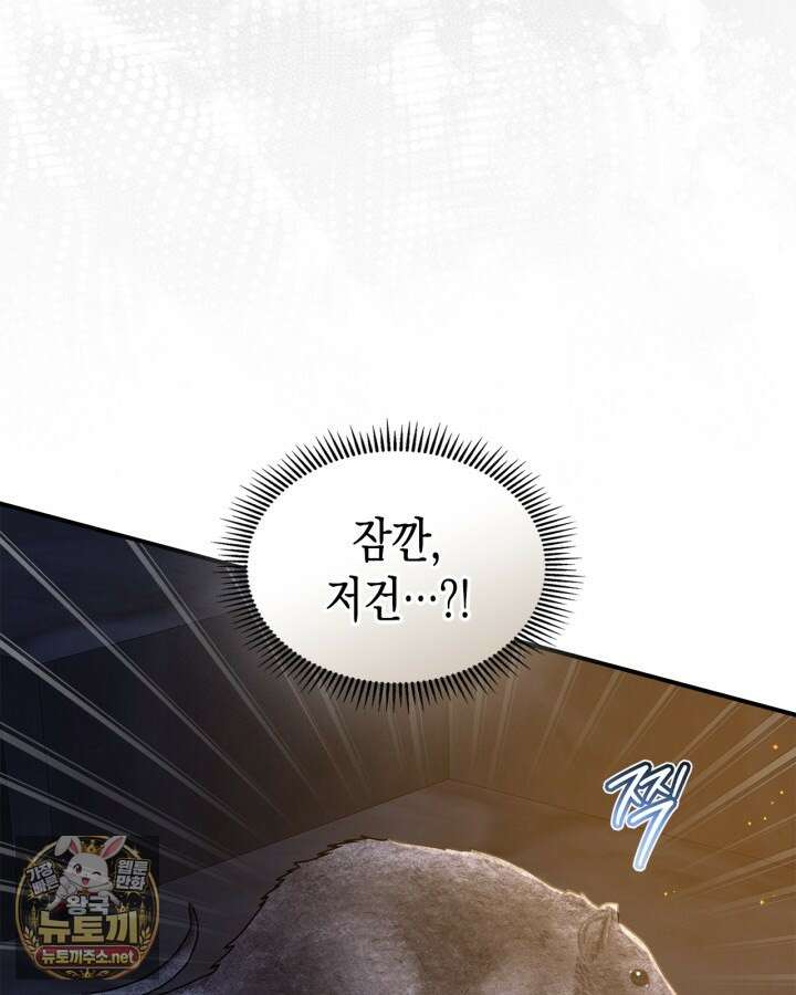 눈먼 공작과 약혼했다 41화 31