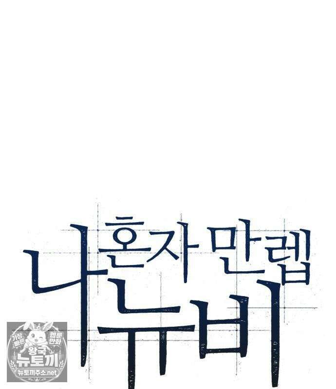 나 혼자 만렙 뉴비 256화 28