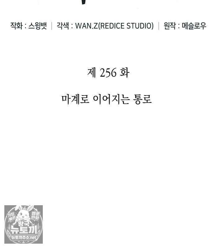 나 혼자 만렙 뉴비 256화 29