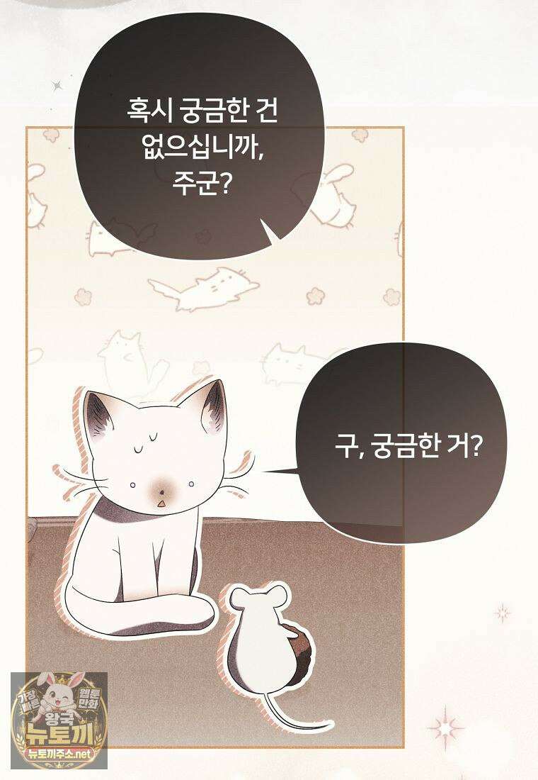 멍문세가를 호령하는 아기 고양이입니다 20화 14