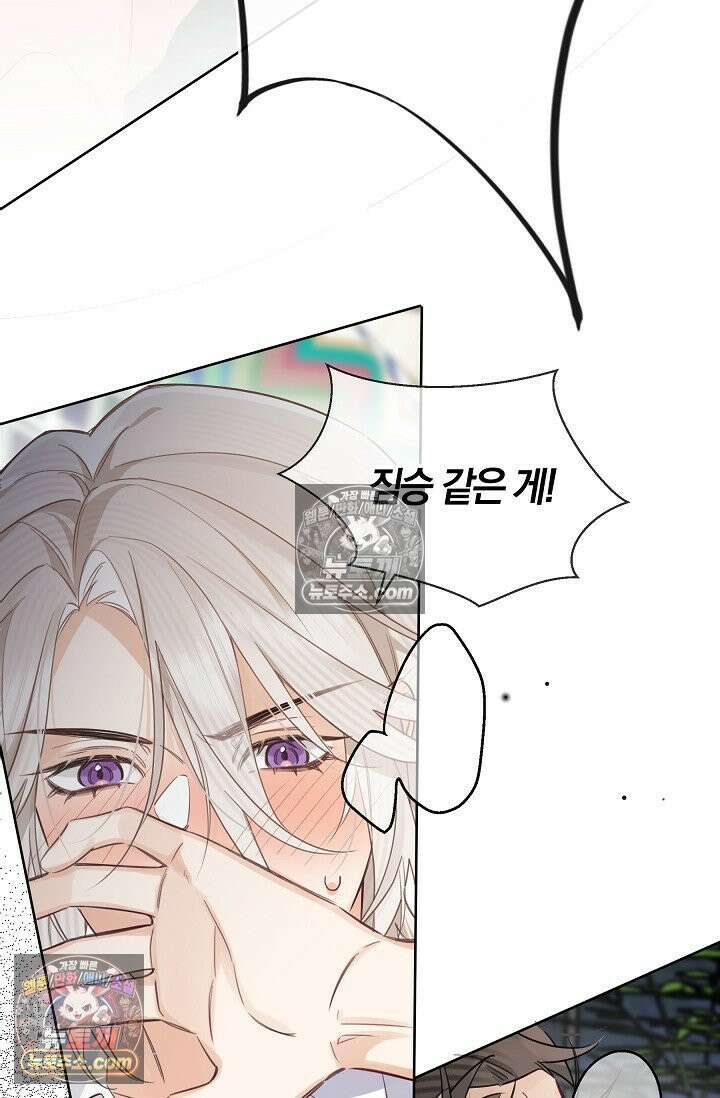 늑대가 날 책임지겠대 4화 9