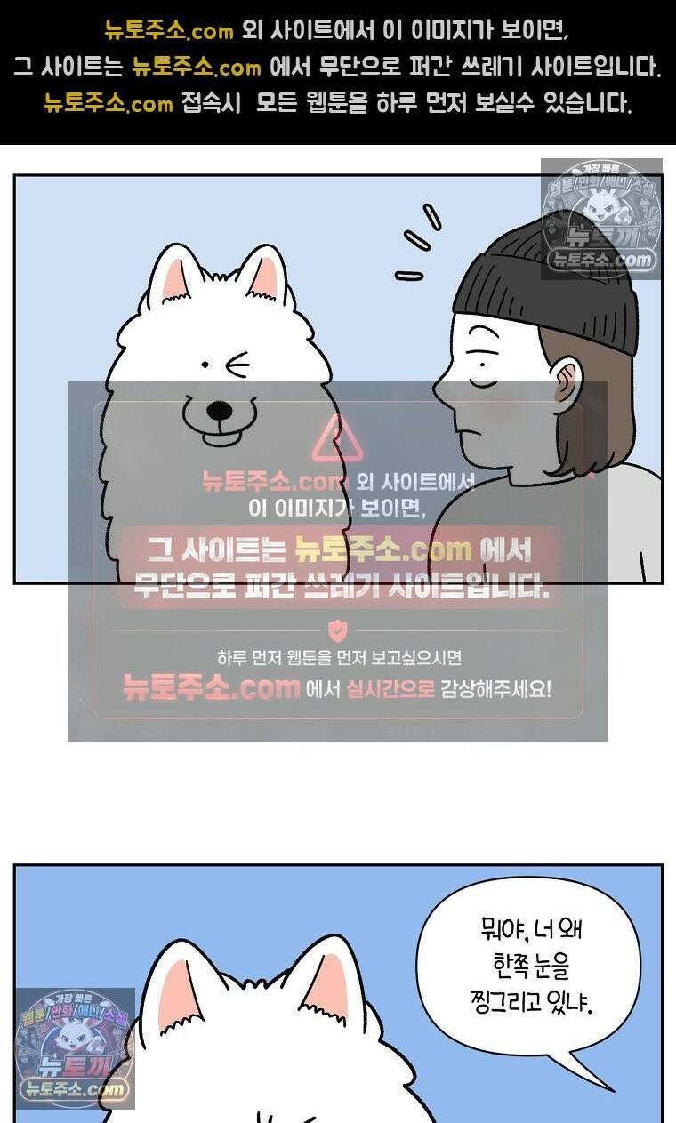 극한견주 시즌2 42화 눈병 치료(1) 2