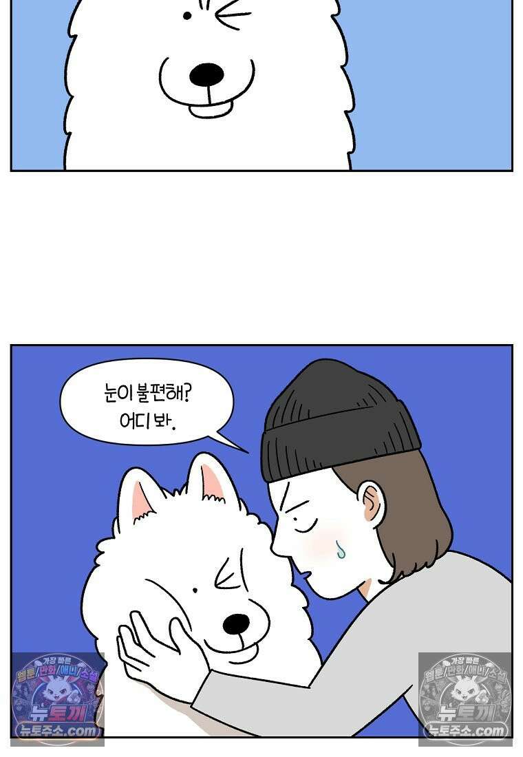 극한견주 시즌2 42화 눈병 치료(1) 3