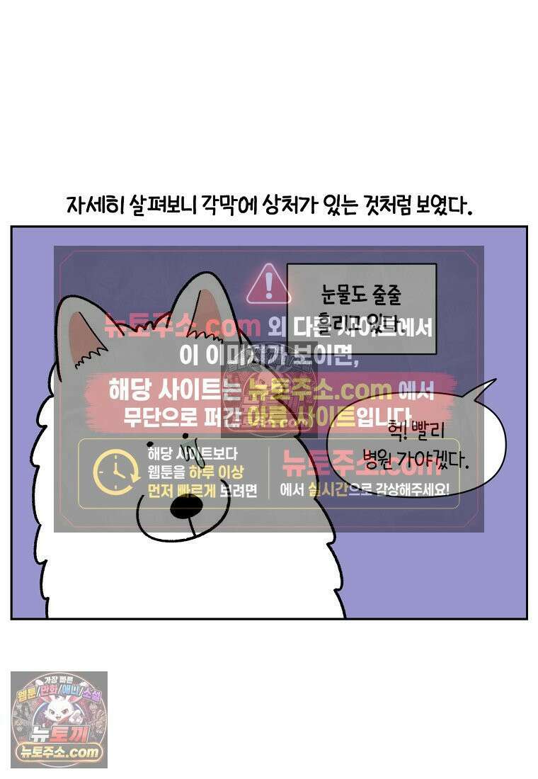 극한견주 시즌2 42화 눈병 치료(1) 4