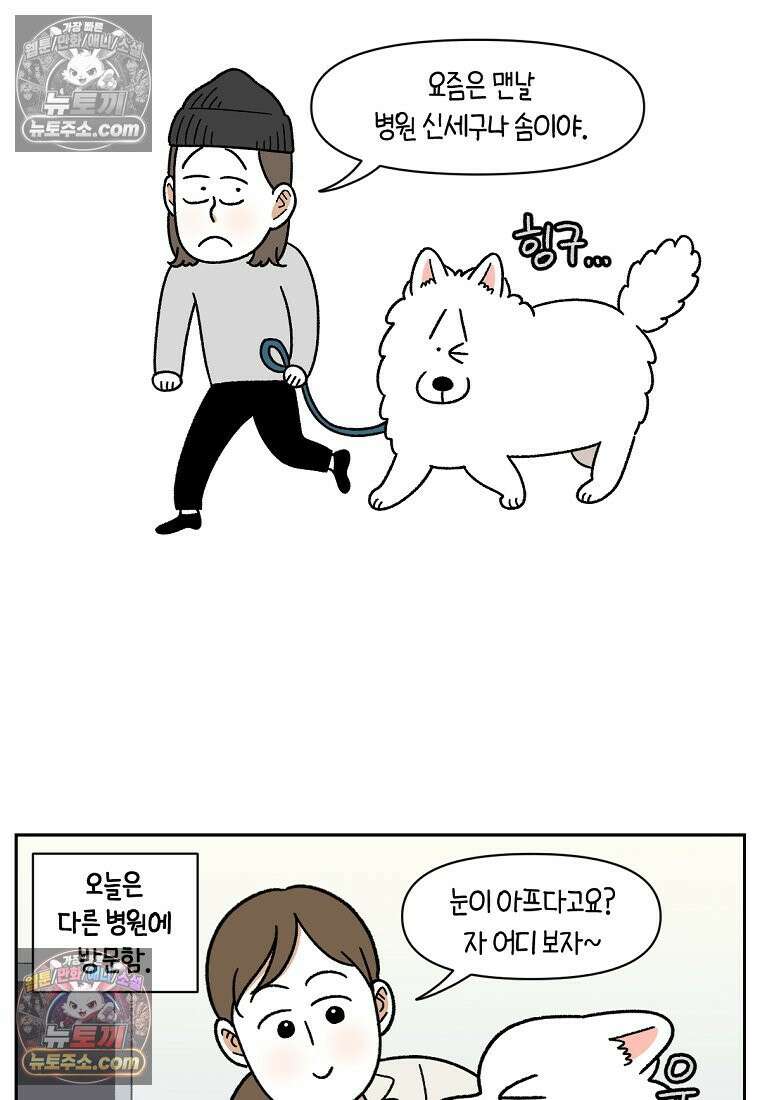 극한견주 시즌2 42화 눈병 치료(1) 5