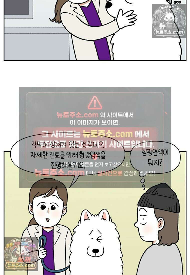 극한견주 시즌2 42화 눈병 치료(1) 6