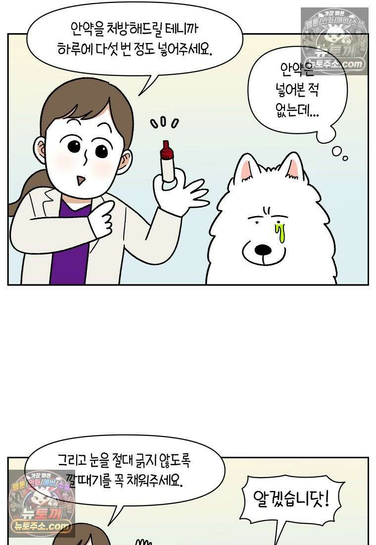 극한견주 시즌2 42화 눈병 치료(1) 8