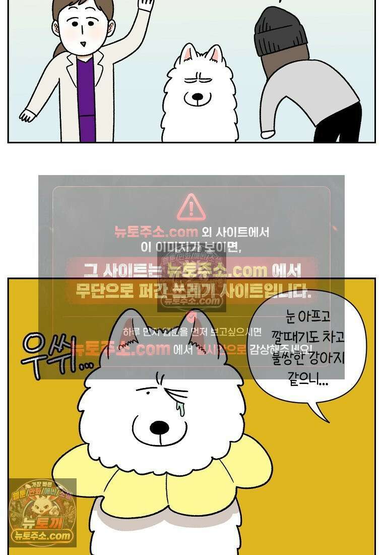극한견주 시즌2 42화 눈병 치료(1) 9