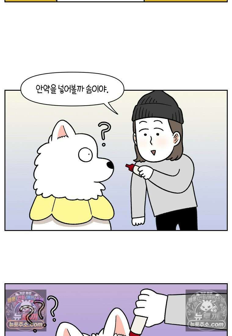 극한견주 시즌2 42화 눈병 치료(1) 10