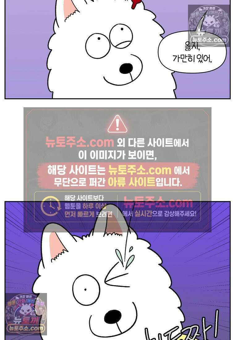 극한견주 시즌2 42화 눈병 치료(1) 11