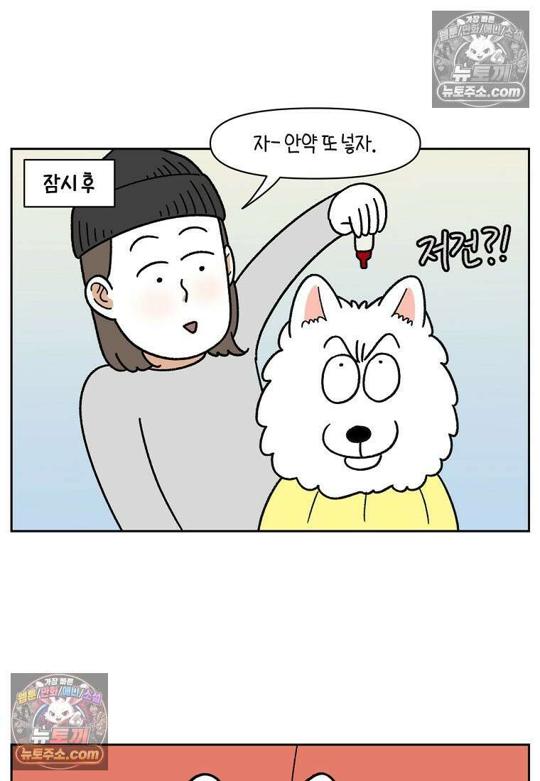 극한견주 시즌2 42화 눈병 치료(1) 13