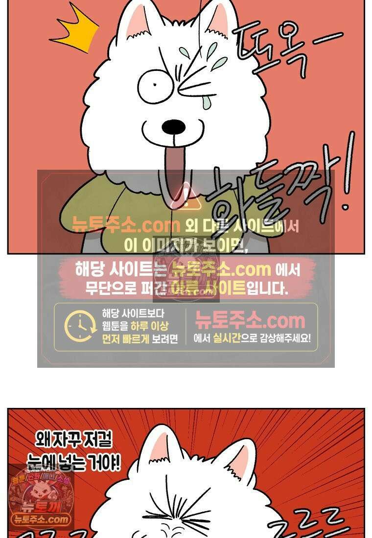 극한견주 시즌2 42화 눈병 치료(1) 14