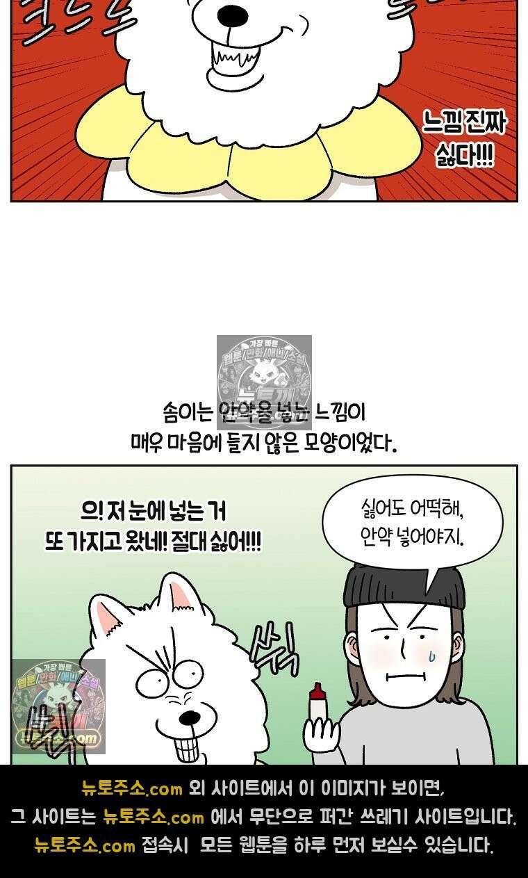 극한견주 시즌2 42화 눈병 치료(1) 15
