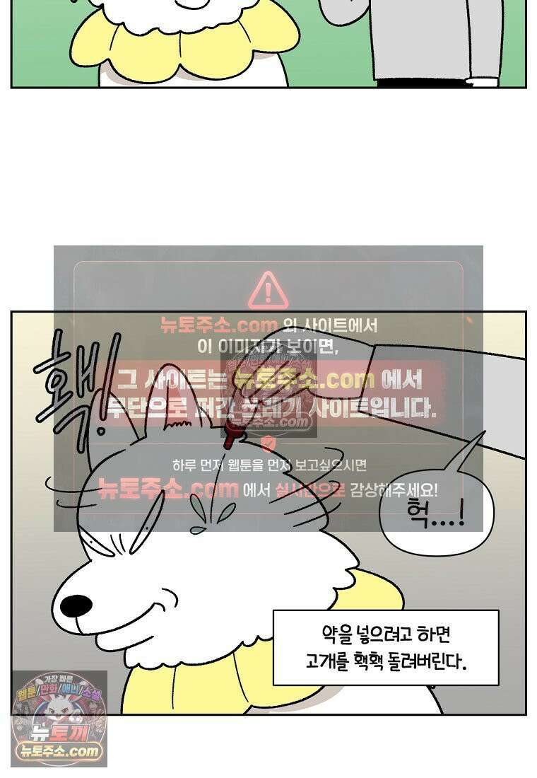 극한견주 시즌2 42화 눈병 치료(1) 16