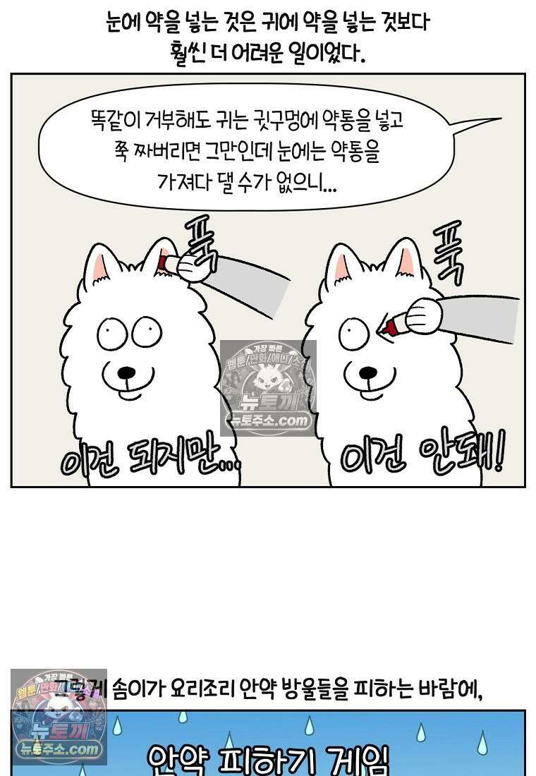극한견주 시즌2 42화 눈병 치료(1) 18