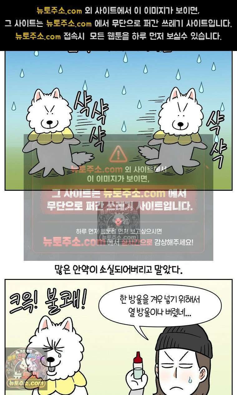 극한견주 시즌2 42화 눈병 치료(1) 19
