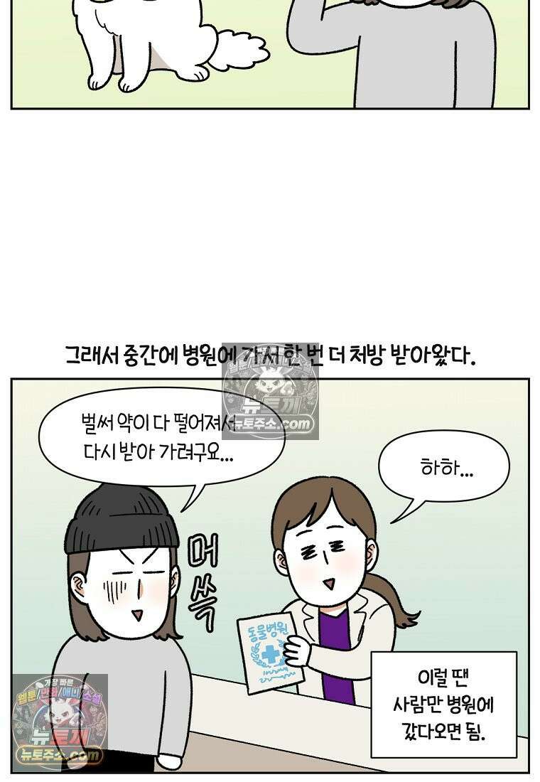 극한견주 시즌2 42화 눈병 치료(1) 20