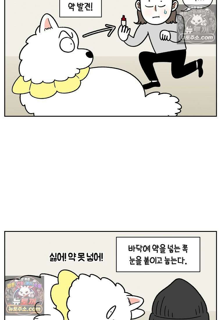 극한견주 시즌2 42화 눈병 치료(1) 23