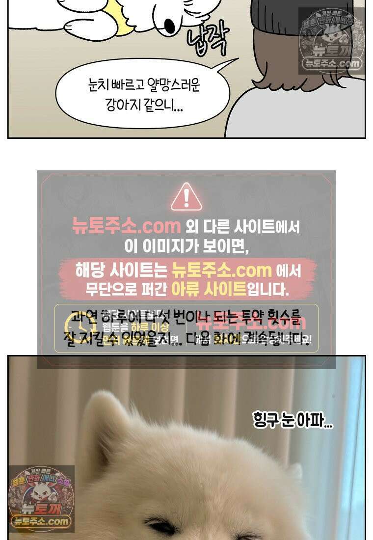 극한견주 시즌2 42화 눈병 치료(1) 24