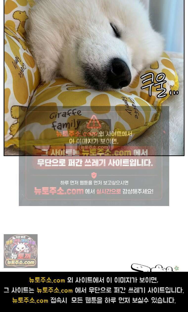 극한견주 시즌2 42화 눈병 치료(1) 26