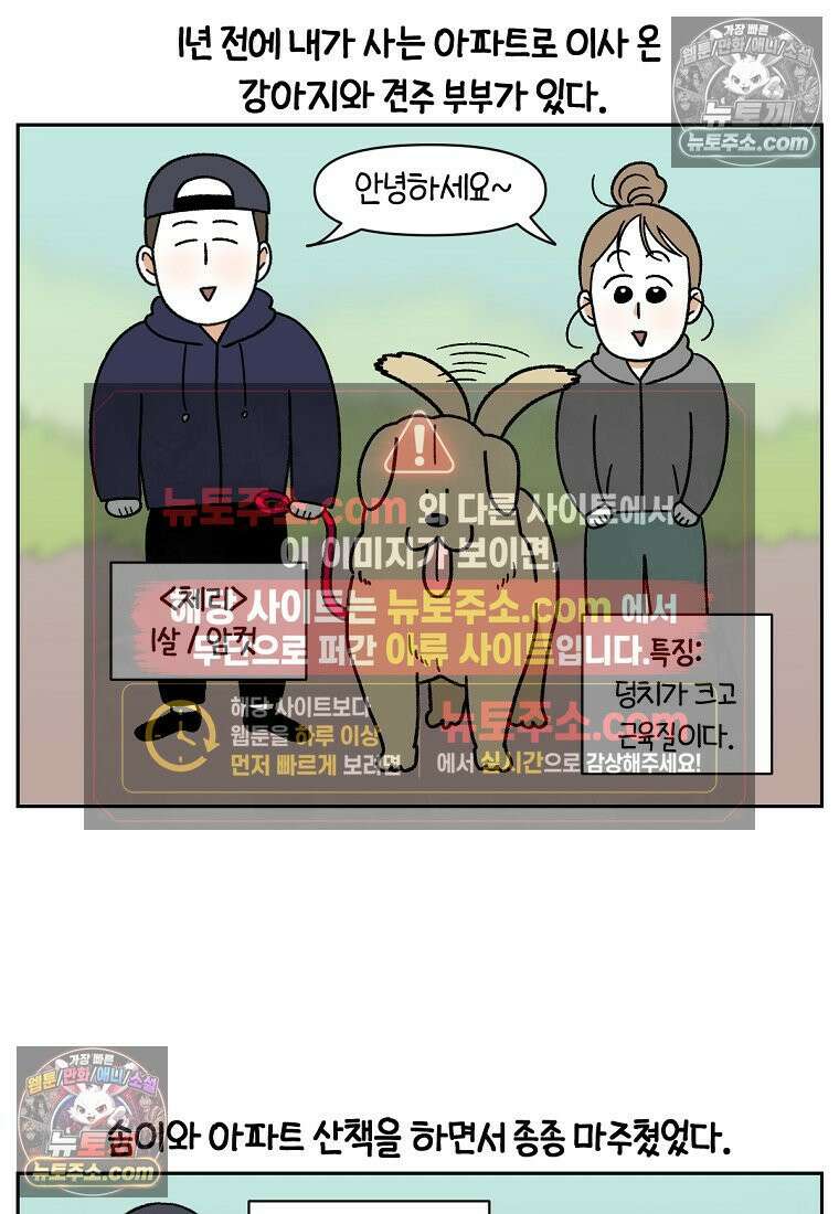 극한견주 시즌2 51화 개가 없으면 서로를 알아보지 못하는 사람들 2