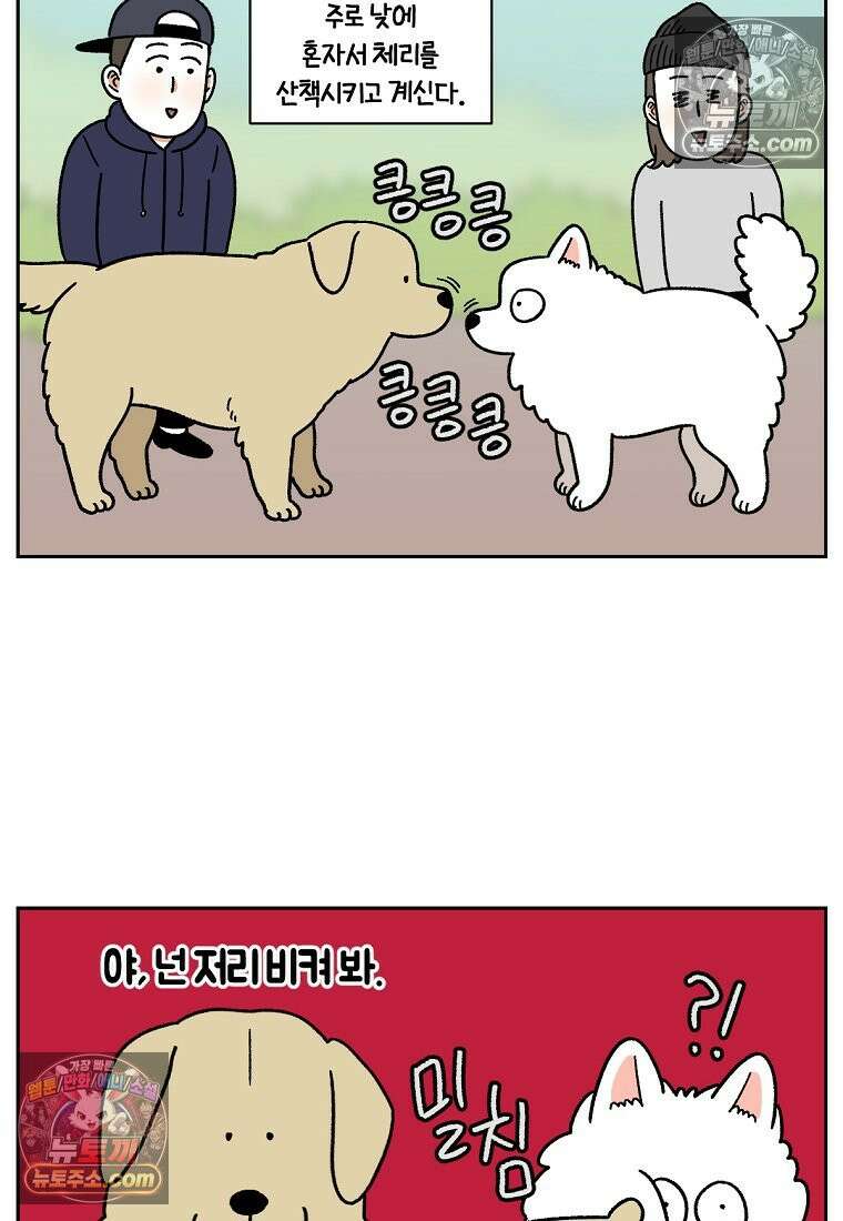 극한견주 시즌2 51화 개가 없으면 서로를 알아보지 못하는 사람들 3