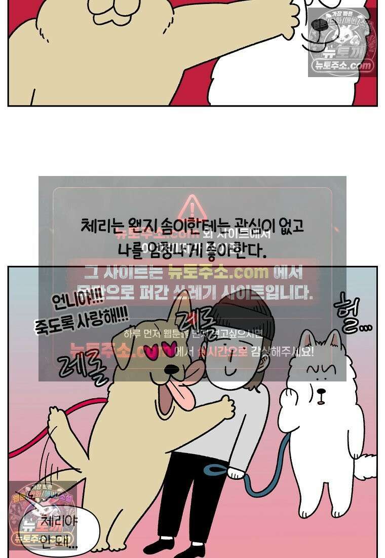 극한견주 시즌2 51화 개가 없으면 서로를 알아보지 못하는 사람들 4