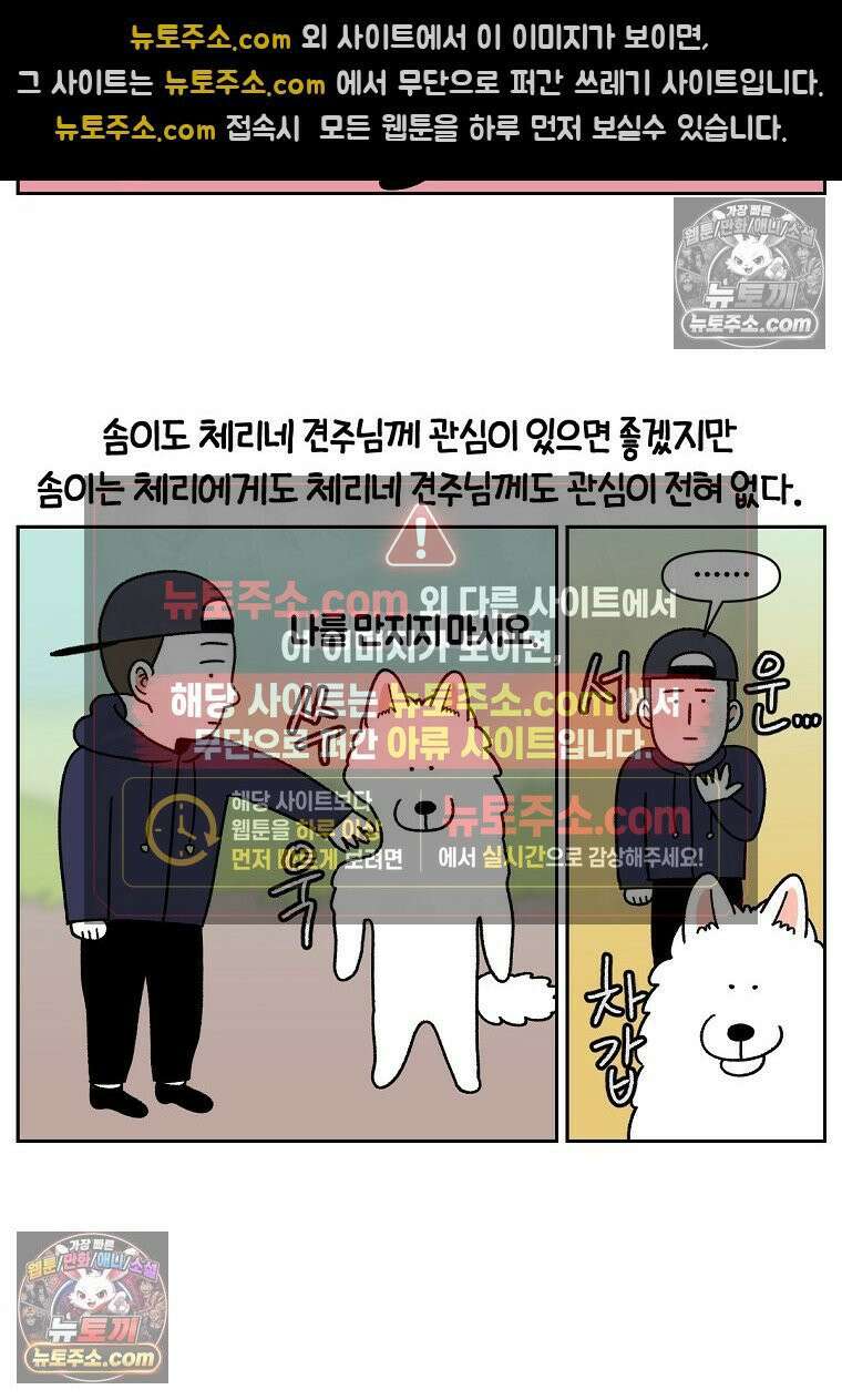 극한견주 시즌2 51화 개가 없으면 서로를 알아보지 못하는 사람들 5